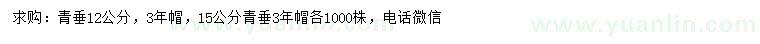 求购12、15公分青垂柳