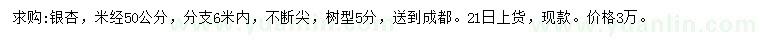 求购米径50公分银杏