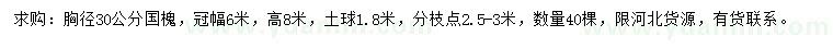 求购胸径30公分国槐