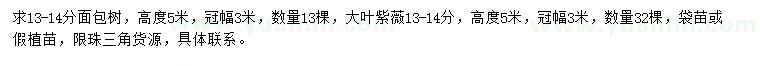 求购13-14公分面包树、大叶紫薇