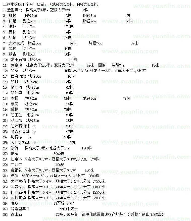 求购造型黑松、柿子树、白蜡等