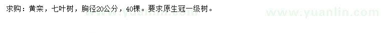 求购胸径20公分黄栾、七叶树