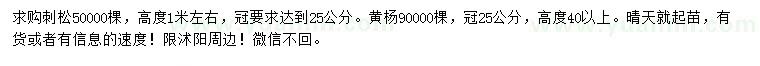 求购高1米刺松、40公分以上黄杨