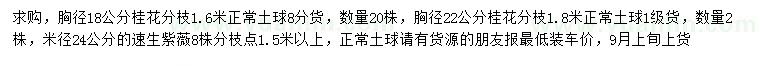 求购胸径18、22公分桂花、米径24公分速生紫薇