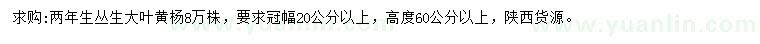 求购冠幅20公分以上丛生大叶黄杨