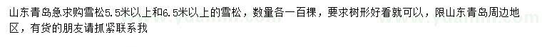求购5.5米以上、6.5米以上雪松