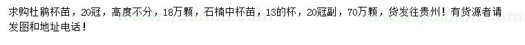 求购冠幅20公分杜鹃、石楠