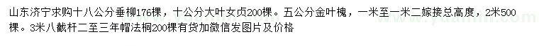 求购垂柳、大叶女贞、金叶槐等