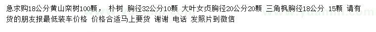 求购黄山栾树、朴树、大叶女贞等