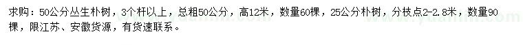 求购50公分丛生朴树、25公分朴树