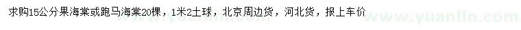 求购15公分果海棠、跑马海棠