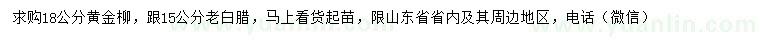 求购18公分黄金柳、15公分老白蜡