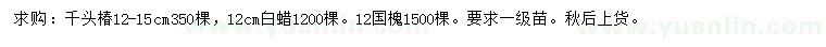 求购千头椿、白蜡、国槐