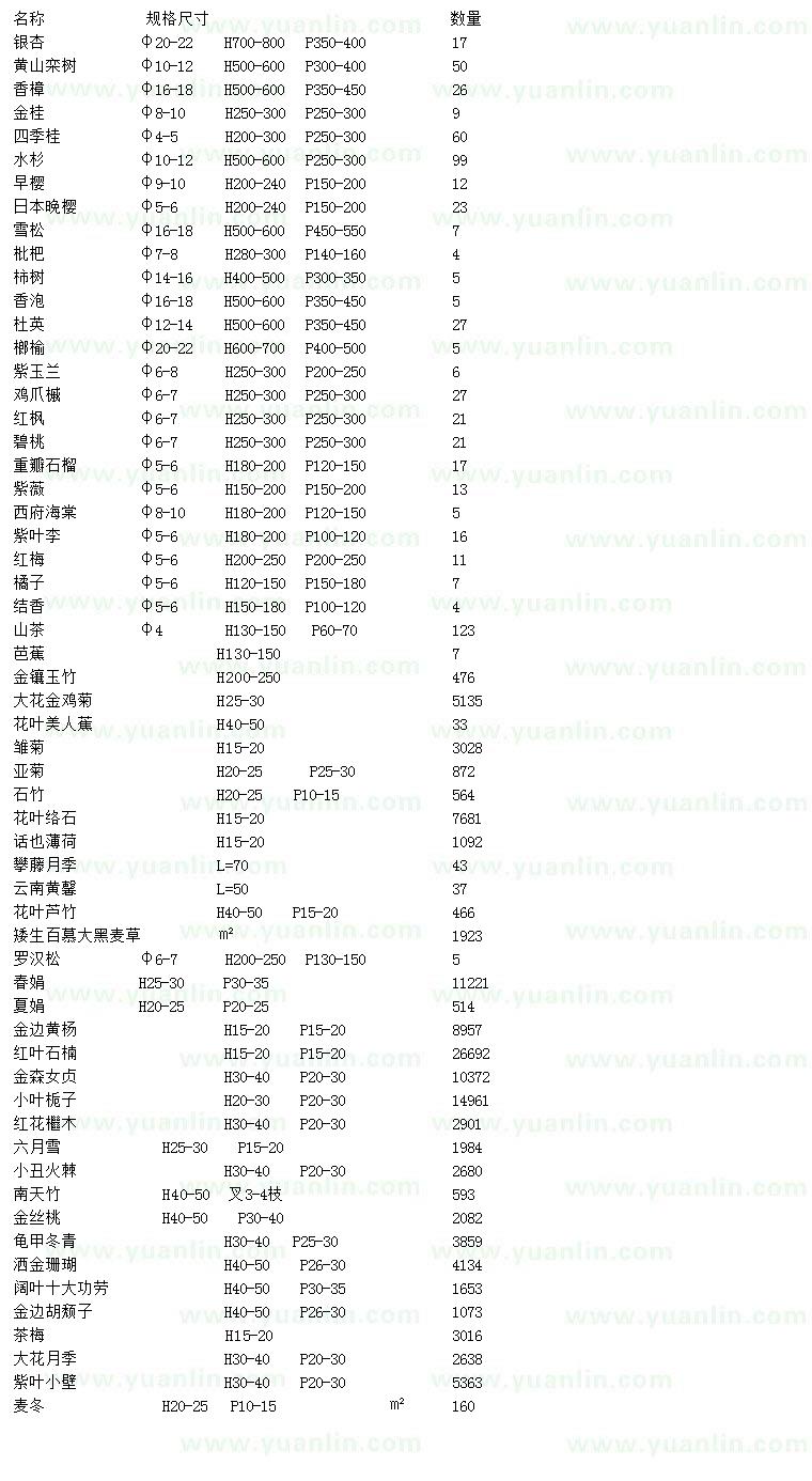 求购银杏、黄山栾树、香樟等