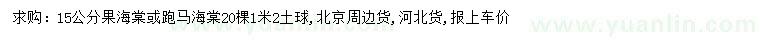 求购15公分果海堂、跑马海棠