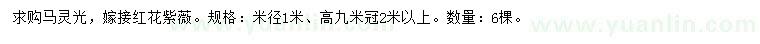 求购米径1米马灵光、嫁接红花紫薇