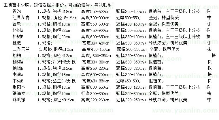 求购香泡、红果冬青、合欢等