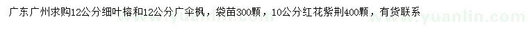 求购细叶榕、广伞枫、红花紫荆