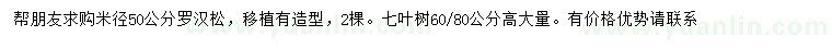 求购米径50公分罗汉松、高60-80公分七叶树
