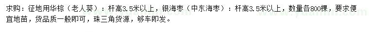 求购高3.5米以上华棕、银海枣