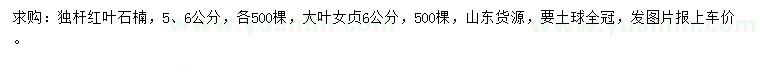 求购5、6公分红叶石楠、6公分大叶女贞