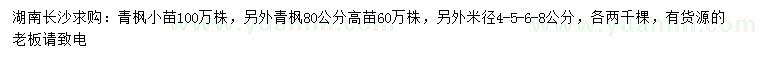 求购青枫小苗、高80公分、4、5、6、8公分青枫