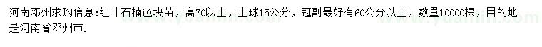 求购高70公分以上红叶石楠