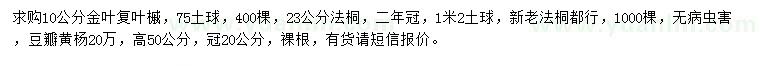 求购金叶复叶槭、法桐、豆瓣黄杨