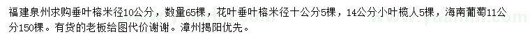 求购垂叶榕、小叶榄仁、海南蒲桃等