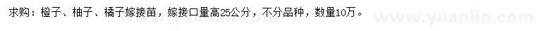 求购橙子、柚子、橘子嫁接苗