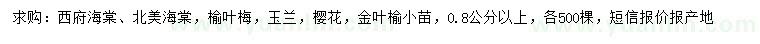 求购西府海棠、北美海棠、榆叶梅等