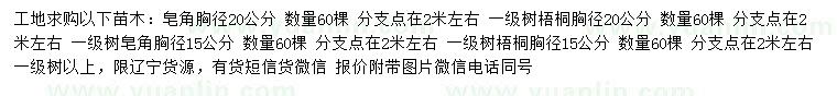 求购胸径15、20公分皂角、梧桐树