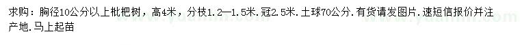 求购胸径10公分以上枇杷树