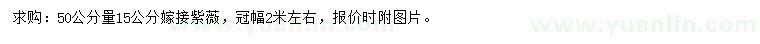 求购50公分量15公分嫁接紫薇