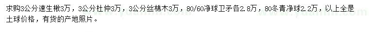 求购速生楸、杜仲、丝棉木等