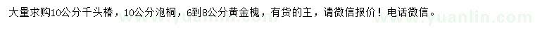 求购千头椿、泡桐、黄金槐