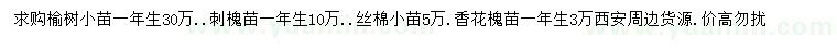 求购榆树小苗、刺槐小苗、丝绵木小苗等