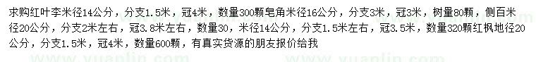 求购红叶李、皂角、侧柏等