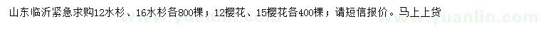 求购12、16公分水杉、12、15公分樱花