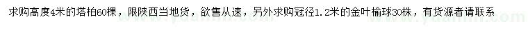 求购高4米塔柏、冠幅1.2米金叶榆球