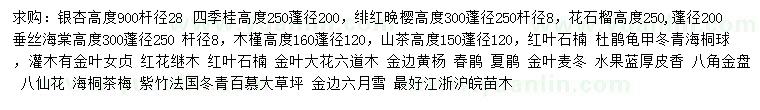 求购银杏、四季桂、绯红晩樱等