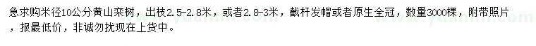 求购米径10公分黄山栾树