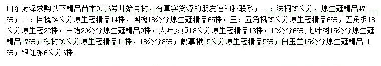 求购法桐、国槐、五角枫等