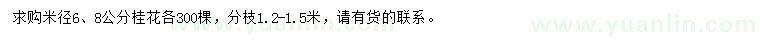 求购米径6、8公分桂花