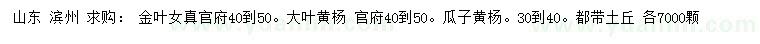 求购金叶女贞、大叶黄杨、瓜子黄杨