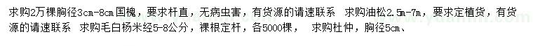 求购国槐、油松、毛白杨等