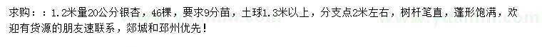 求购1.2米量20公分银杏