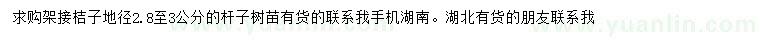 求购地径2.8-3公分嫁接桔子树