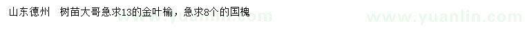 求购13公分金叶榆、8公分国槐