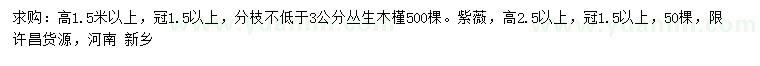 求购高1.5米以上丛生木槿、2.5米以上紫薇